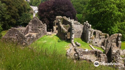 Okehampton Castle