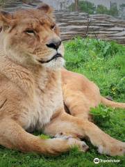 ファイブ・シスターズ動物園