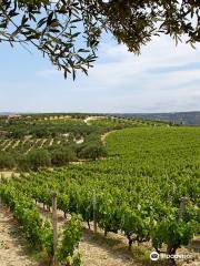 Scalarea Estate (Boutari Winery Crete)