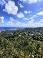 Hike Barbados