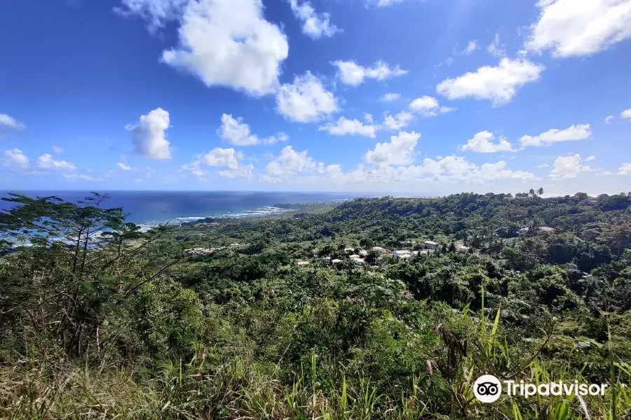 Hike Barbados