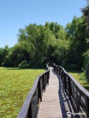 Vicente López Ecological Preserve