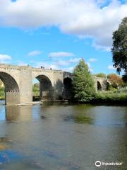 Le Pont Vieux (The Old Bridge)