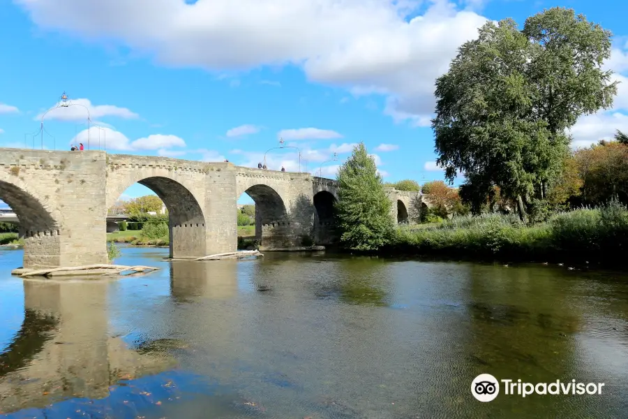 Le Pont Vieux (The Old Bridge)