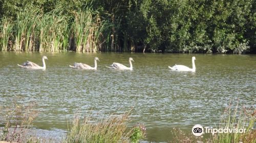 Filey Dams Nature Reserve