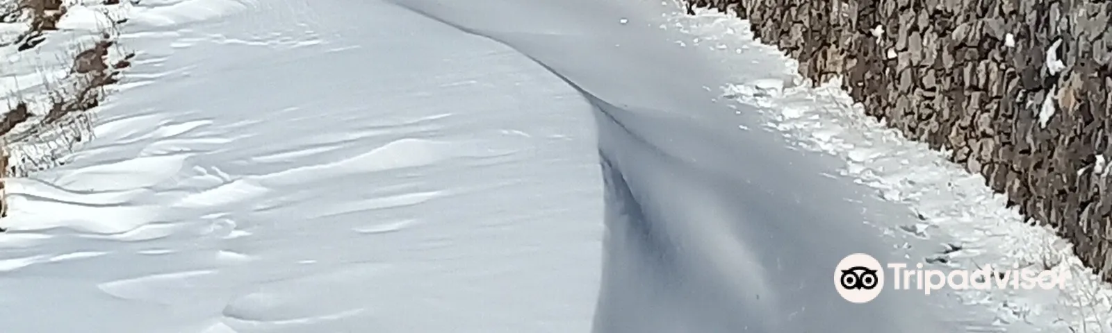 ZoneReisedienstleistungen