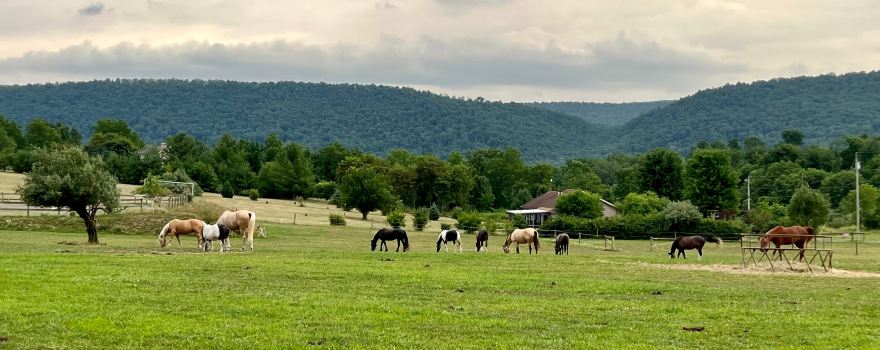 Wildfire Ranch Spiritual Retreat