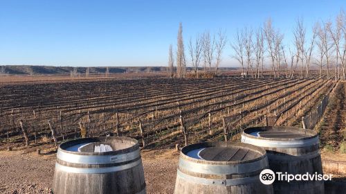 Bodeguer Vinicola