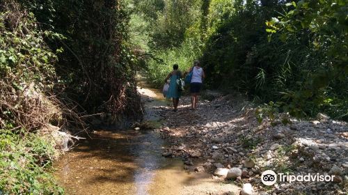 Pozo De Los Chorros