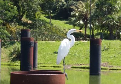 Jardim Botanico