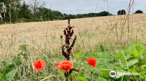 Cotswolds Way