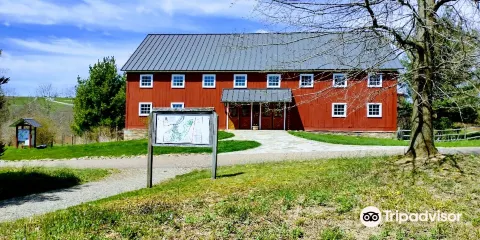 Winnie Palmer Nature Reserve