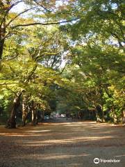 Tadasu-no-Mori Forest