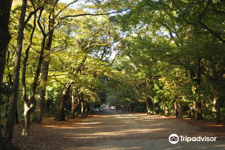 Tadasu-no-Mori Forest