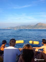 Mamma Mia Sorrento Boat Excursions