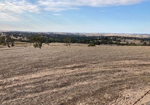 Eden Valley Lookout