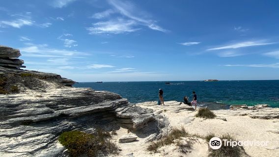 Đảo Rottnest