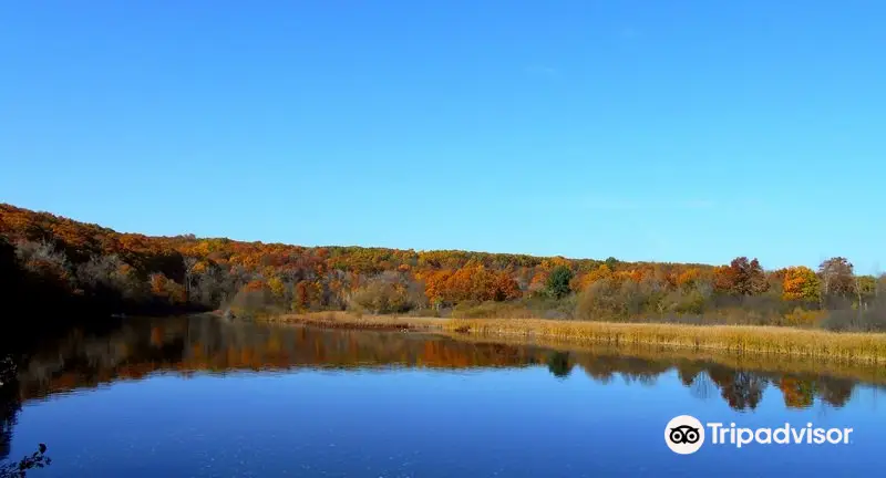 Barton Nature Area