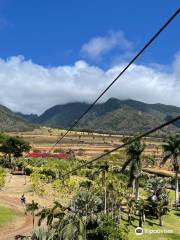 Maui Zipline Company