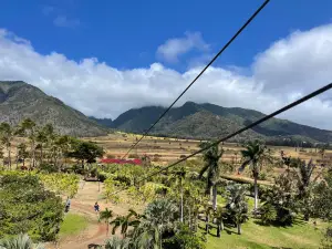 Maui Zipline Company