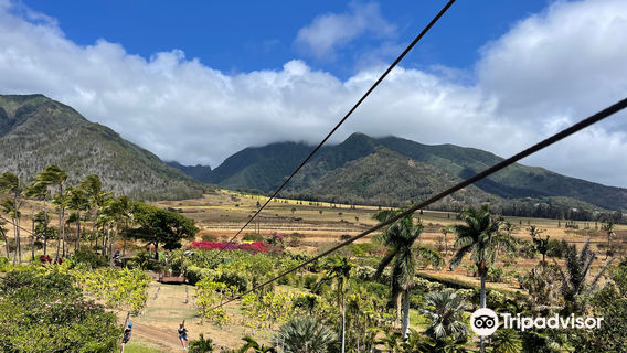 Maui Zipline Company