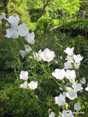 Jardin des Plantes