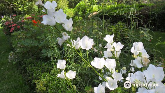 Jardin des Plantes