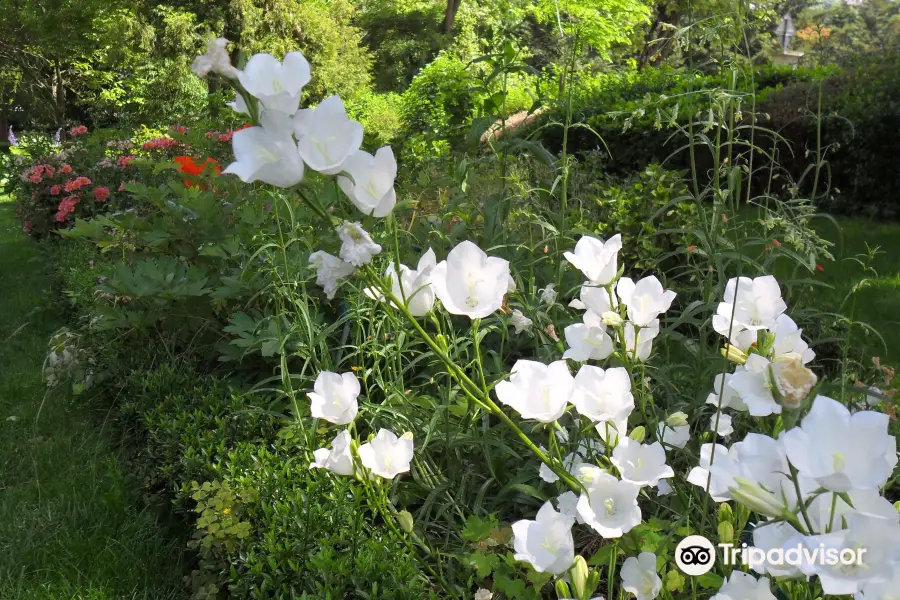 Jardin des Plantes