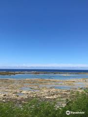 大度海岸（ジョン万ビーチ・大度浜海岸）