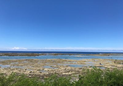 Komesu/Odohama Coast