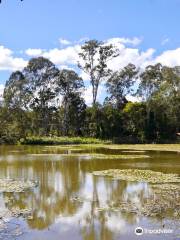 Berrinba Wetlands Park