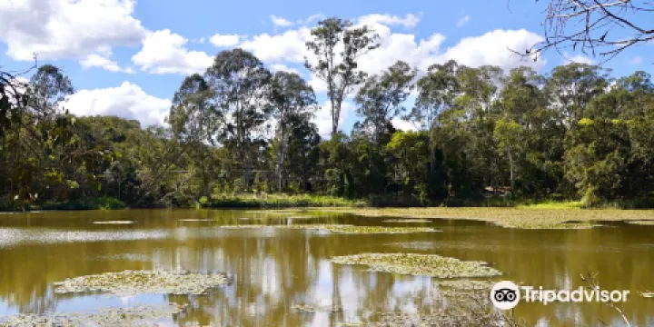 Berrinba Wetlands Park