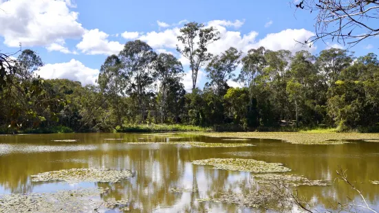 Berrinba Wetlands