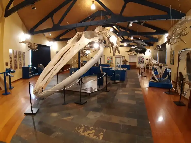 Hotels near SGHN - Museo de