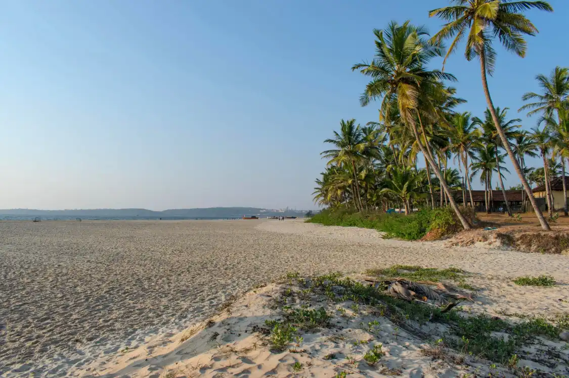 Hotels near Cansaulim Beach