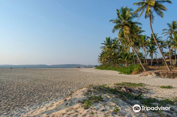 Cansaulim Beach
