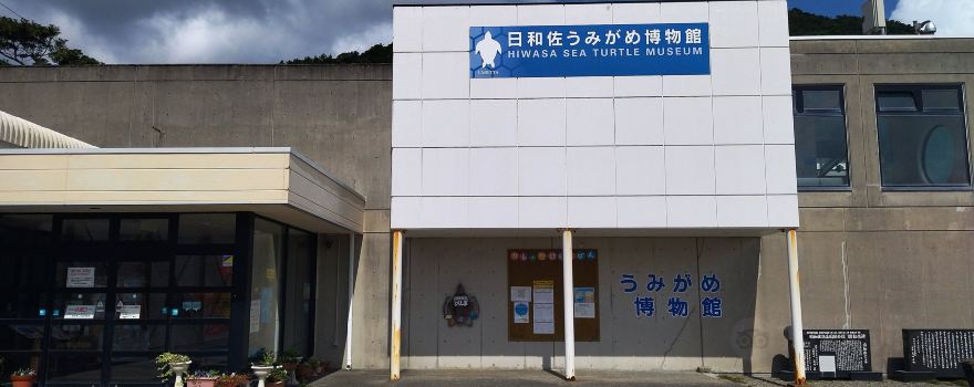 Hiwasa Chelonian Museum Caretta