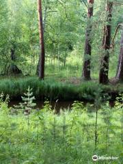 Talc Stone Lake