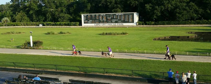 Ebro Greyhound Park