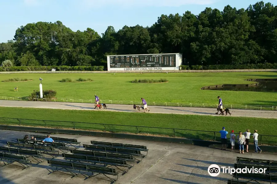 Ebro Greyhound Park