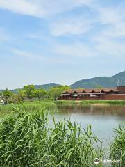 Suncheon Bay Wetland Reserve