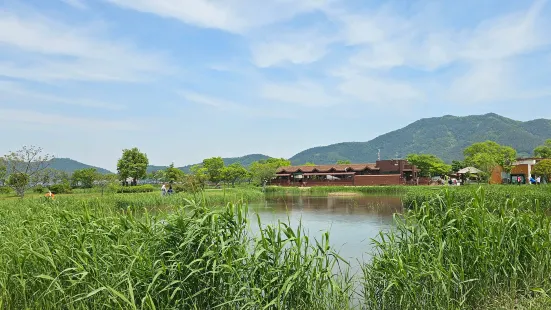 Suncheon Bay Wetland Reserve