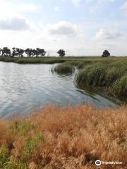 Quivira National Wildlife Refuge