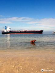 Picnic Island Beach Dog Park