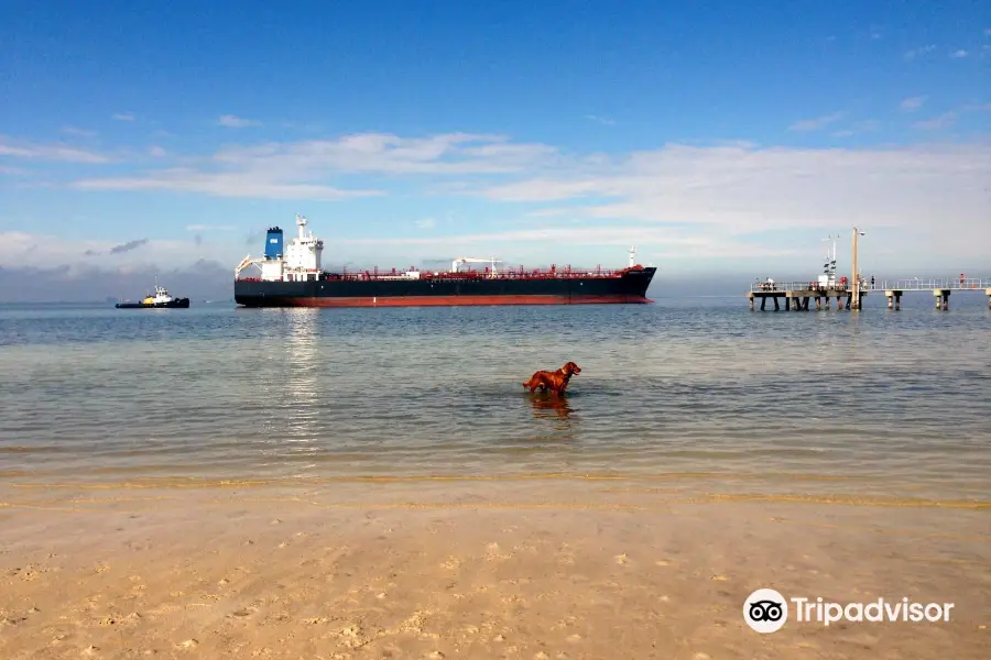 Picnic Island Beach Dog Park