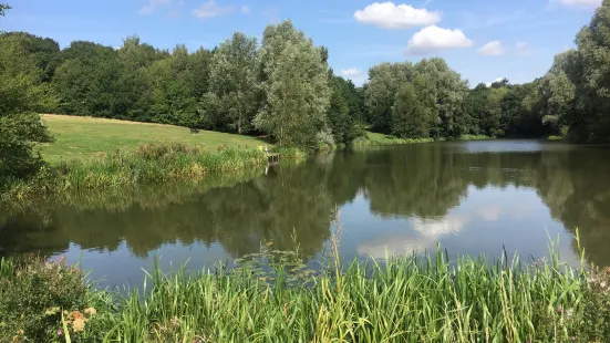 High Woods Country Park