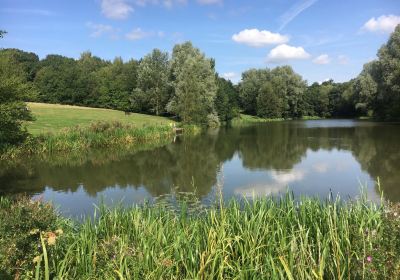 Highwoods Country Park