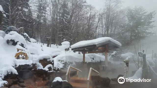 Hot Springs in Sapporo