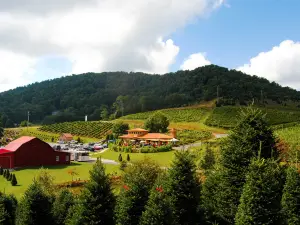 Linville Falls Winery