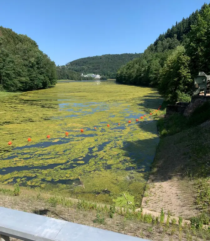 Biersdorf am See